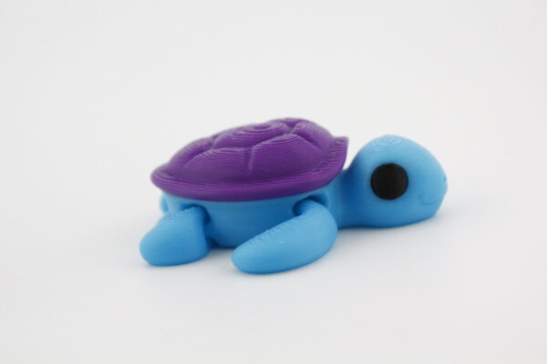 Turtle fidget toy - multiple colours making it either a sea turtle or land turtle - both have moving legs - Image 3