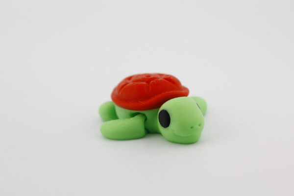 Turtle fidget toy - multiple colours making it either a sea turtle or land turtle - both have moving legs