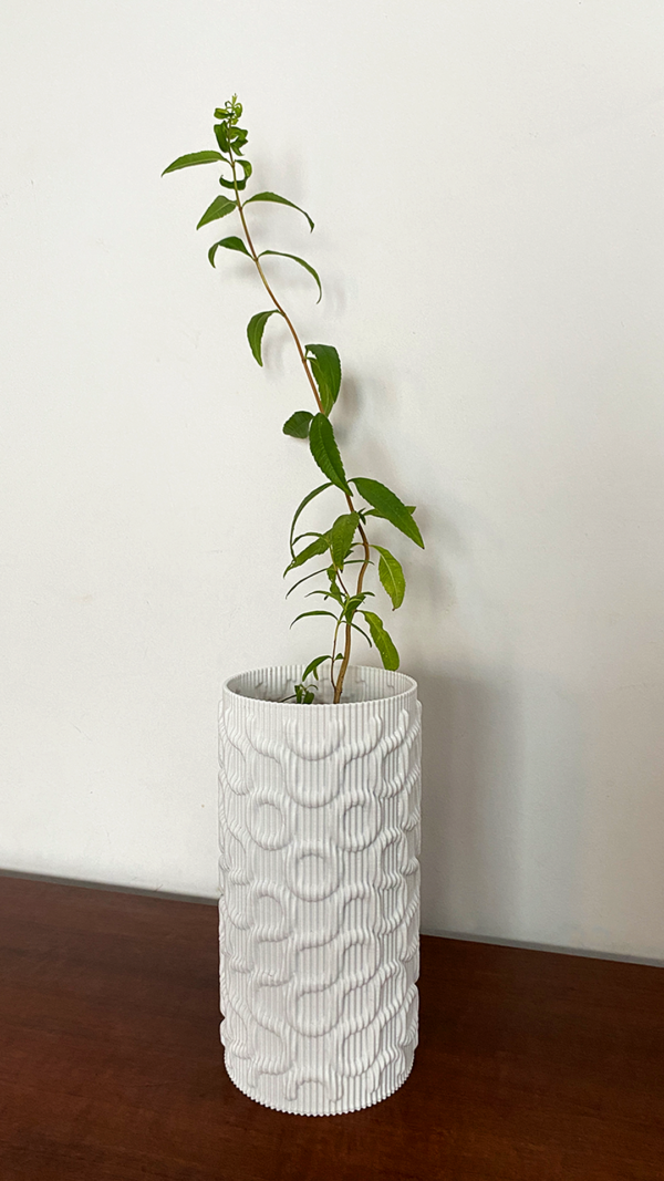 Seamless Vase or Lampshade