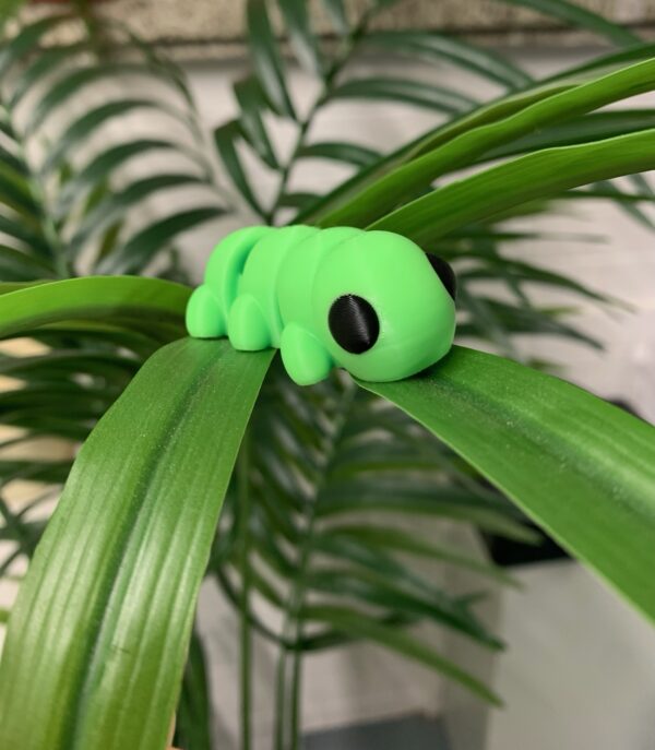 Caterpillar fidget - love nature