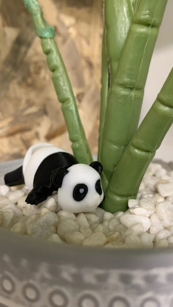 Panda fidget toy - super cute, even curls up into a ball - Image 4