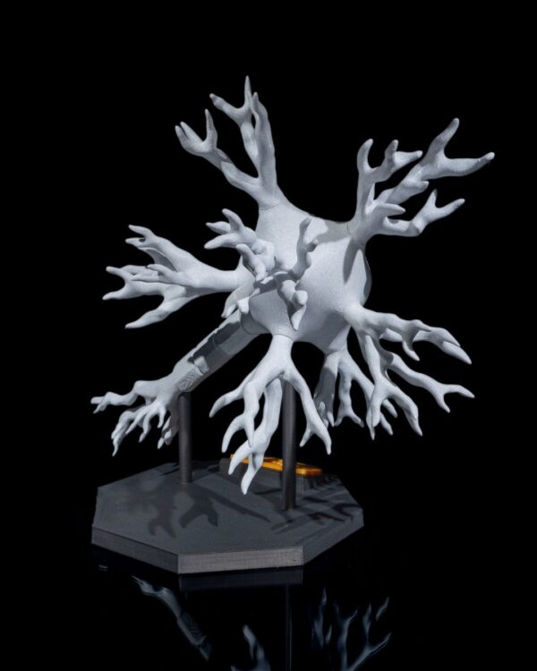 Neural Cell Model - Educational Tool - Image 3