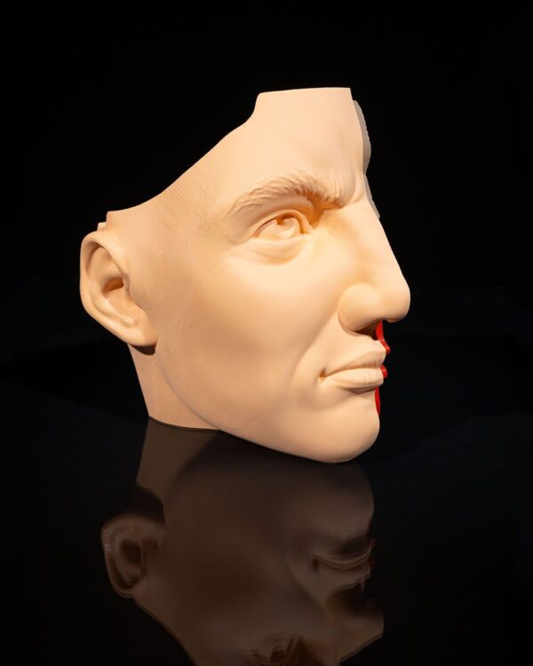 Nose & Sinus Model - Educational Tool - Image 4