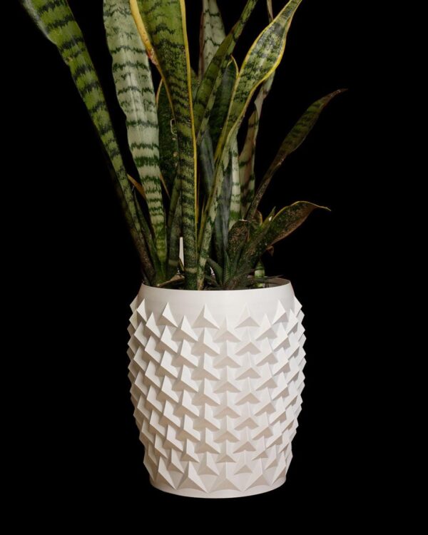 Pointy Flowerpot / Vase - Modern - Image 5