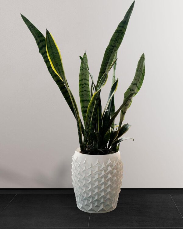 Pointy Flowerpot / Vase - Modern - Image 9