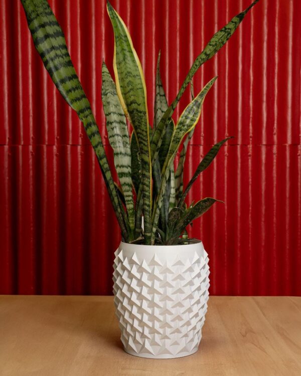 Pointy Flowerpot / Vase - Modern