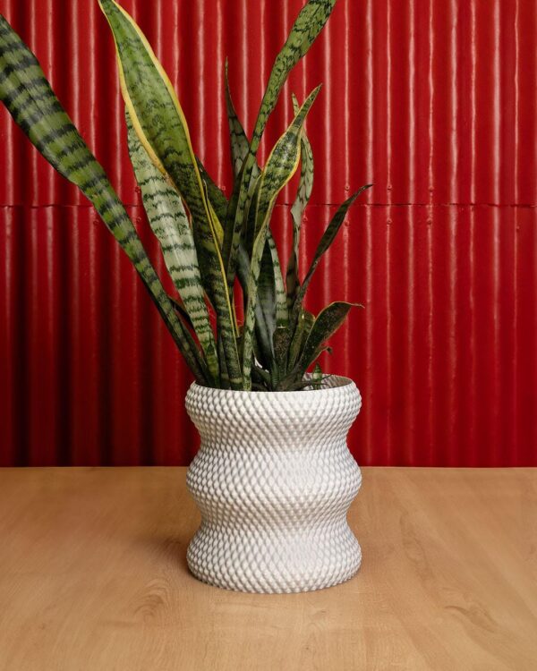 Diamond Style Flowerpot / Vase