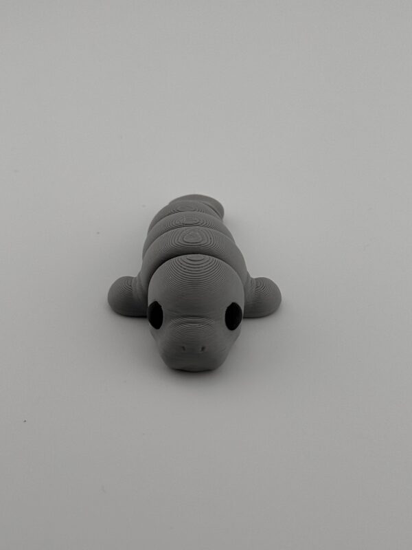 Manatee Fidget Toy - perfect for sea animal lovers