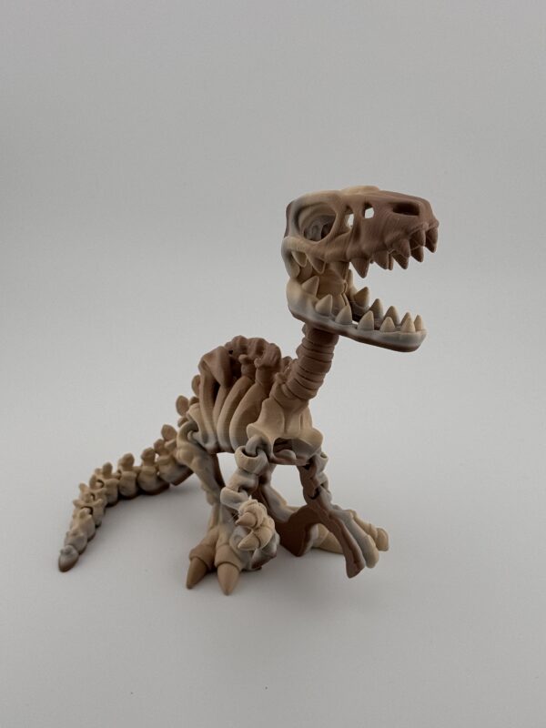 Dinosaur fidget articulated toy - great colours, part of our fossil collection, choose from 7 designs - Image 7