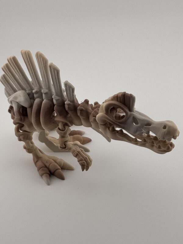 Dinosaur fidget articulated toy - great colours, part of our fossil collection, choose from 7 designs - Image 8